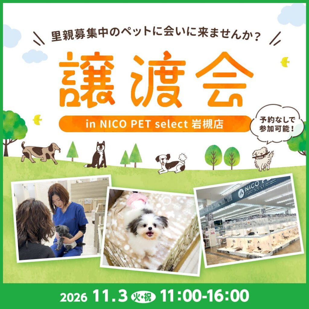 2026年11月3日(火・祝)ペッツファーストグループ譲渡会 開催のお知らせ in NICO PET select岩槻店