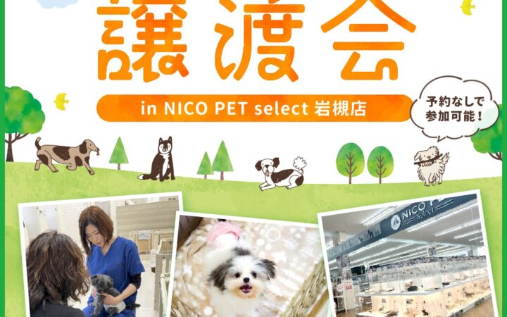 2026年11月3日（火・祝）ペッツファーストグループ譲渡会 開催のお知らせ in NICO PET select岩槻店