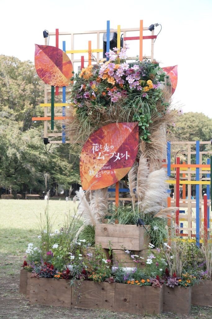【東京・小金井公園】コスモスや秋の草花・光・音が紡ぐ秋イベント、11/8まで好評開催中! 映画フィルム風フォトスポットや体験ワークショップなど、物語の世界へと誘う7つのスポットが登場。