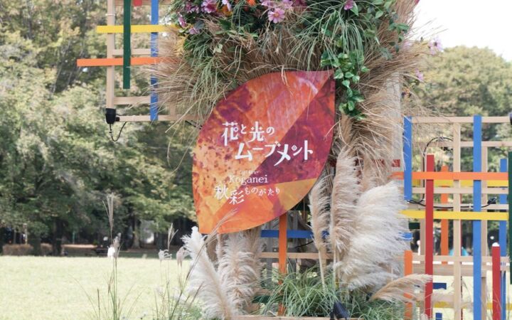 【東京・小金井公園】コスモスや秋の草花・光・音が紡ぐ秋イベント、11/8まで好評開催中！ 映画フィルム風フォトスポットや体験ワークショップなど、物語の世界へと誘う7つのスポットが登場。