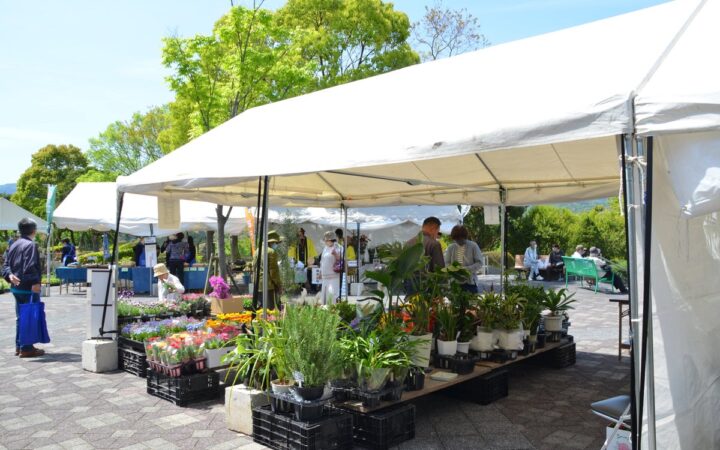 【徳島市】とくしま植物園で「第40回緑化フェア」を開催します